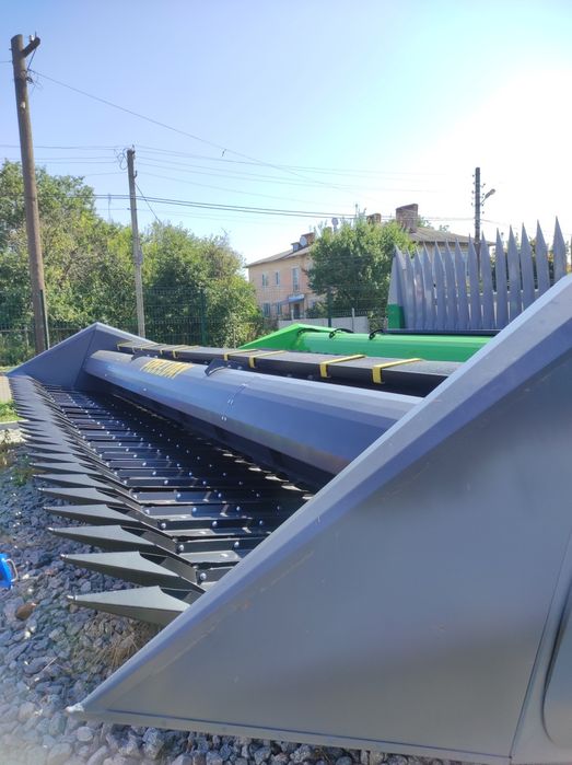 Жниварка соняшникова