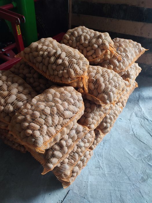 Ziemniaki kal 30-45 mm żółte i czerwone. Po centrali