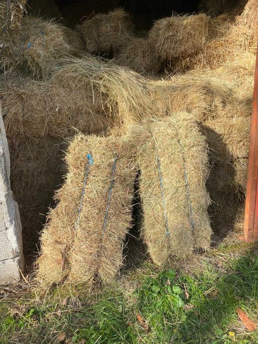 Fardos de Feno Médios