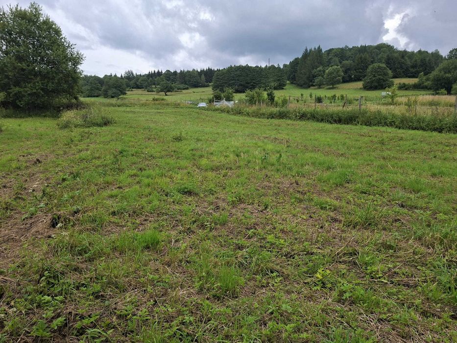 Atrakcyjna Działka 1706 m² z warunkami zabudowy, Bieszczady (Baligród)