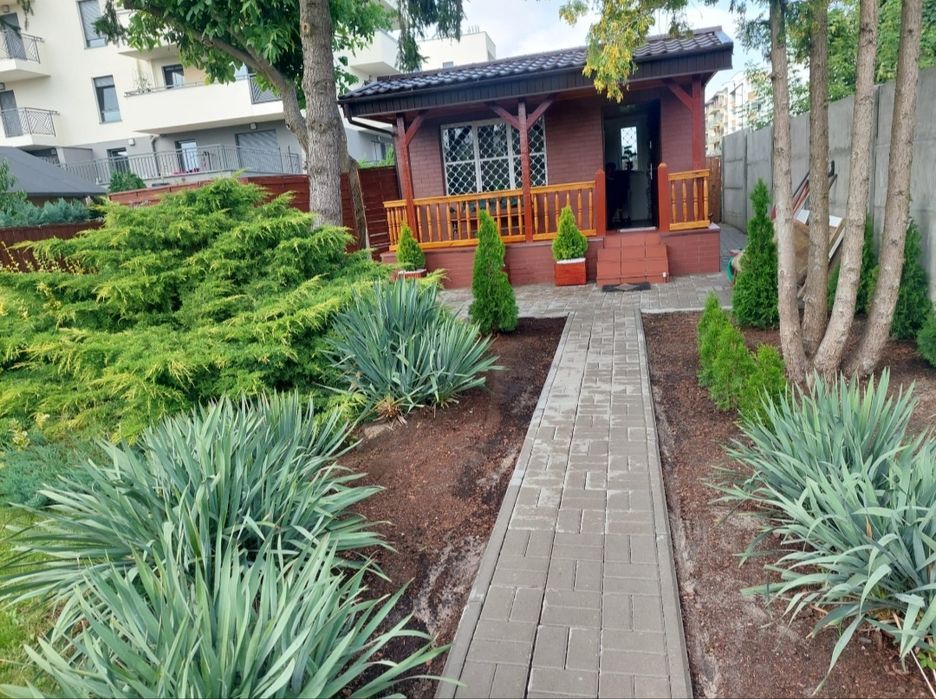 Dzialka ROD centrum Nowa cena ! Do negocjacji dla zdecydowanych !