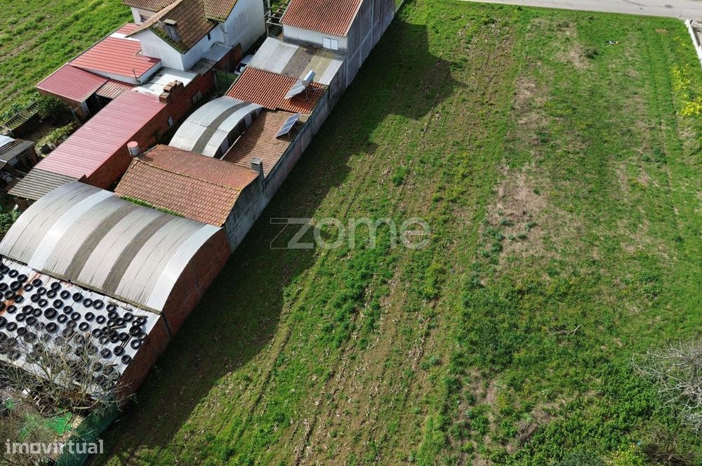 Terreno para moradia isolada ou 2 moradias geminadas_1900m2_Vagos