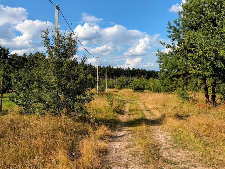Кутова ділянка 15 соток, с. Забір'я, Фастівський район