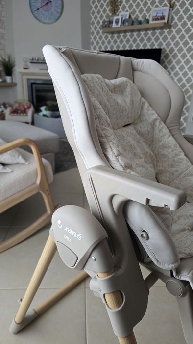 Cadeira evolutiva Jane Mila