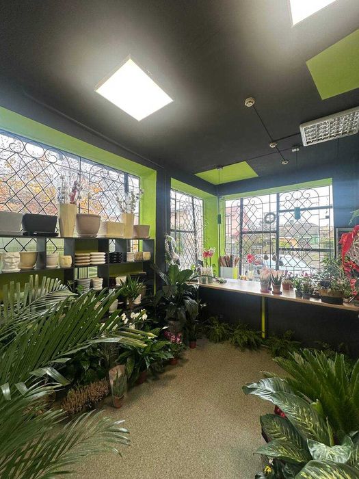 БОЯРКА 53м2 Здам КУТОВЕ приміщення з Панорамними вікнами біля ЗУПИНКИ