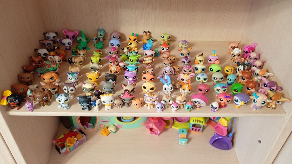 Lps pop i shorthair i nie tylko