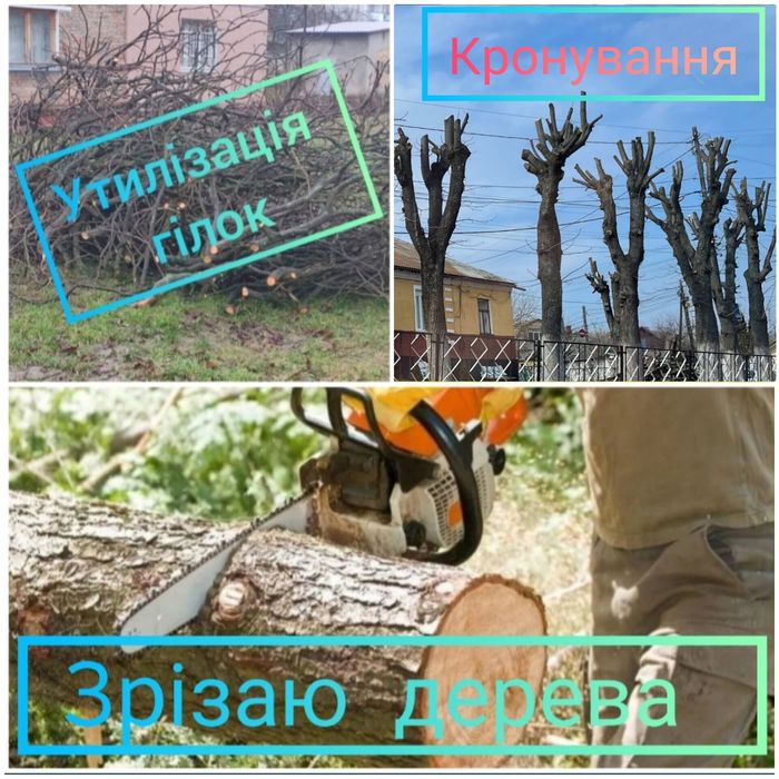 Утилізація гілок, зрізання дерев, кронування, зачистка, порізка дров