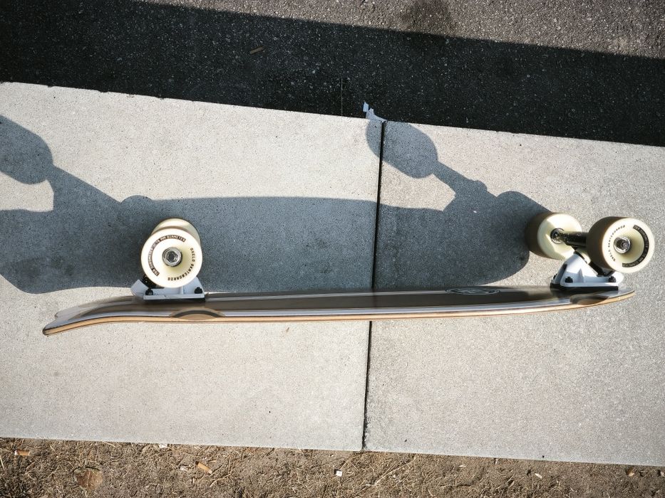 Skate Shark Tail