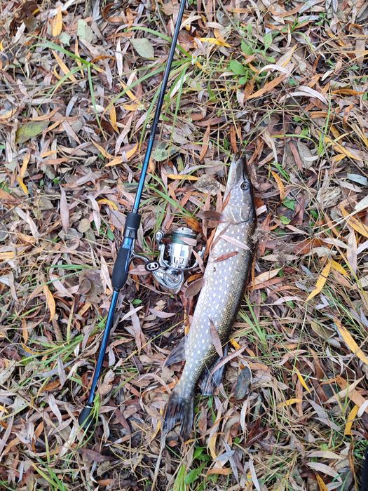 спінінг Flagman Orbion 3-15 г. тест, довжина 2.36