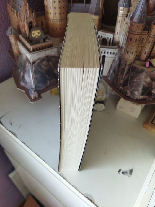 Livro Lars Kepler A vidente