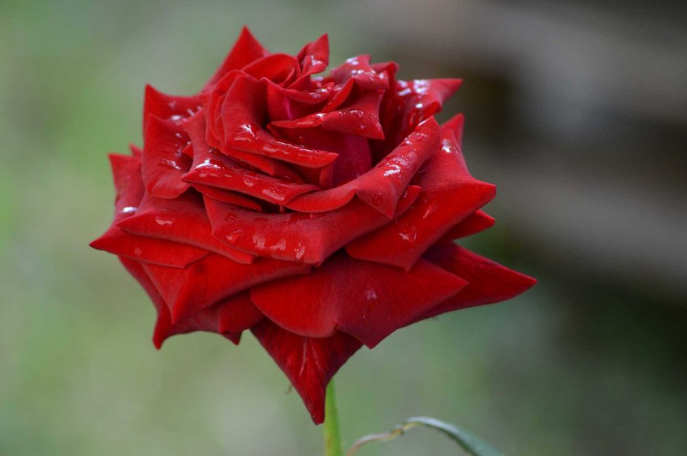 Об'єктив TAMRON D i II AF 55-200мм F/4-5.6 LD для Нікон