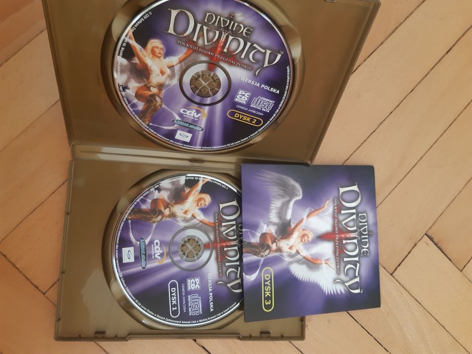 Gra komputerowa Divine Divinity