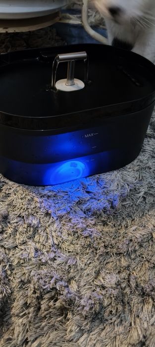 Bebedouro automático para gatos e outros animais.