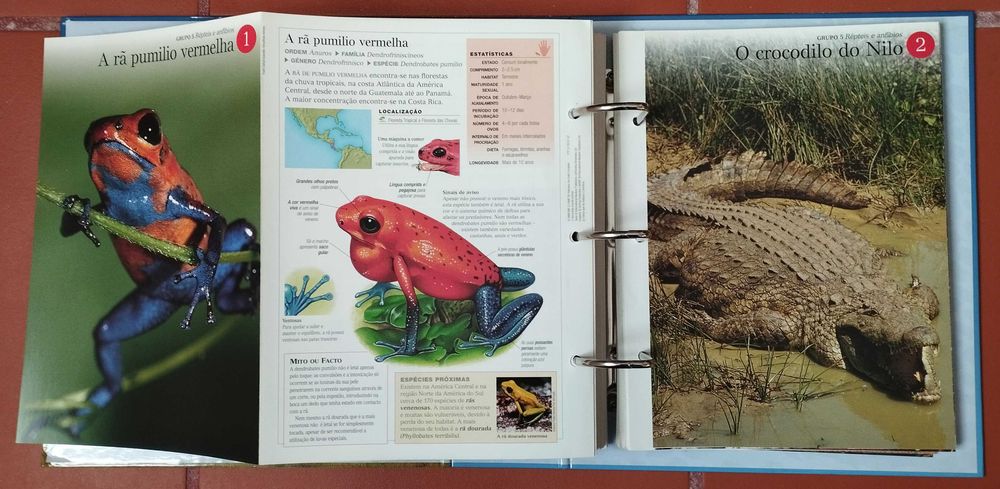 Coleção Completa "O Fascinante Mundo Animal"