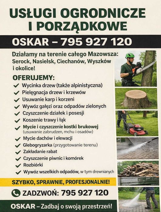 Wycinka i pielegnacja drzew