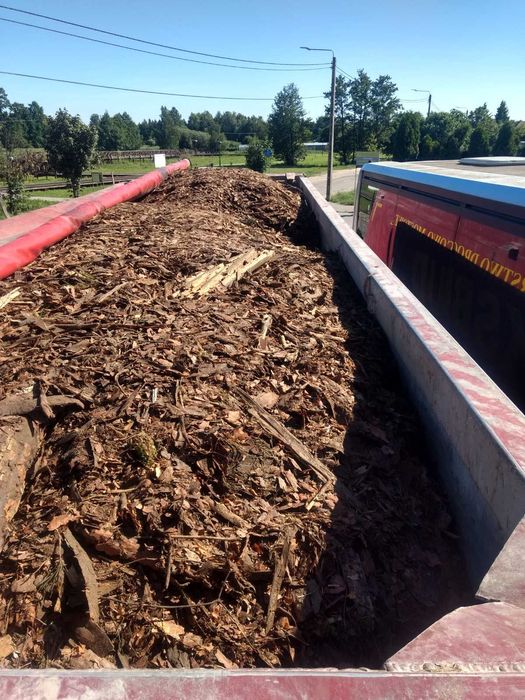 Obornik Bydlęcy, Dowóz, Kora pod borówkę
