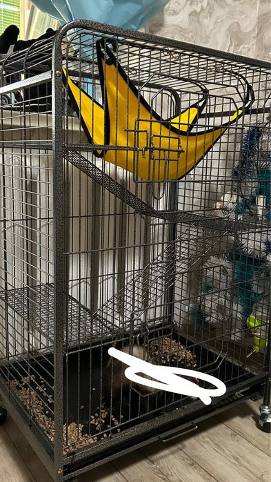 Клітки для гризунів , тхорів, крис