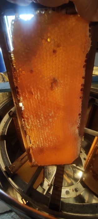 Kilo 8 euros...Mel multifloral.. castanheiro.. rosmaninho..esteva urze