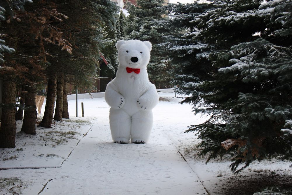 Pogodny Biały Miś Niespodzianka Na Każdą Imprezę