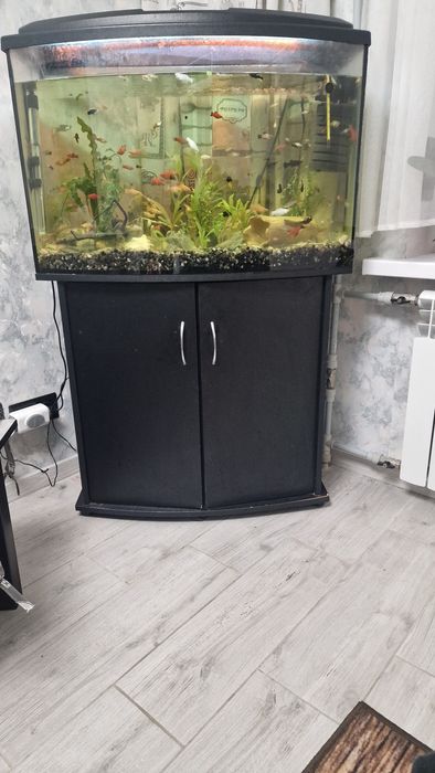 Акваріум з тумбою приблизно 120 літрів