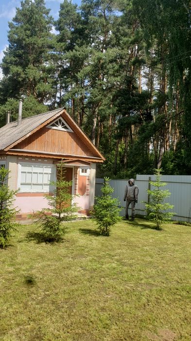 Дача в кооперативе сосновый бор