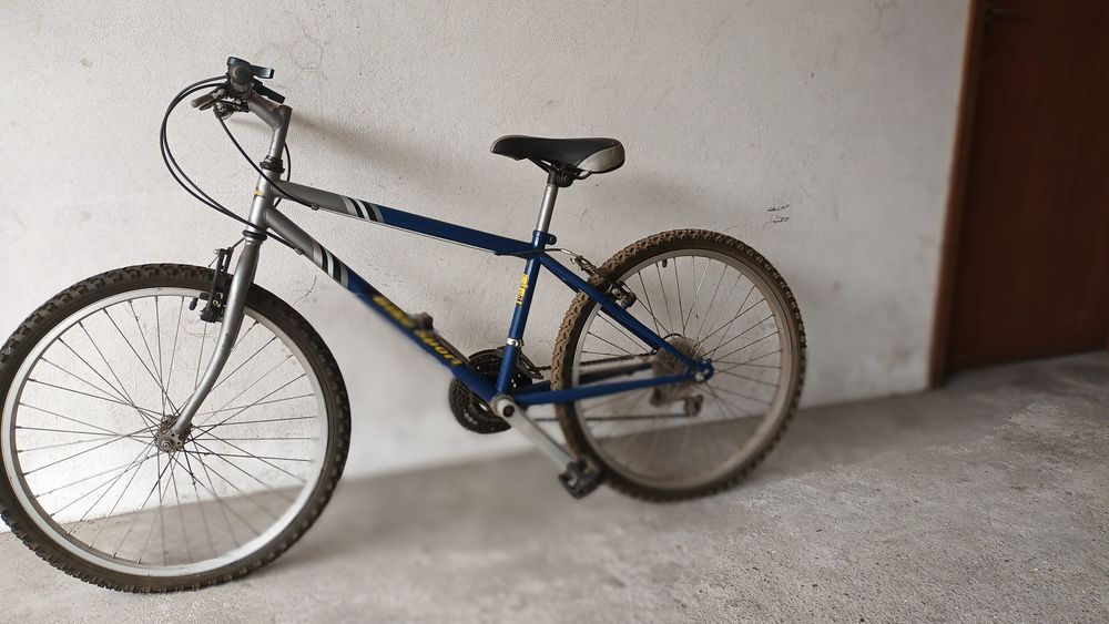 Bicicleta roda 24