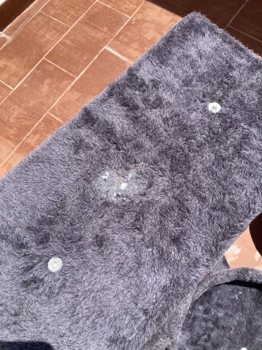 Ginasio & cama para gato