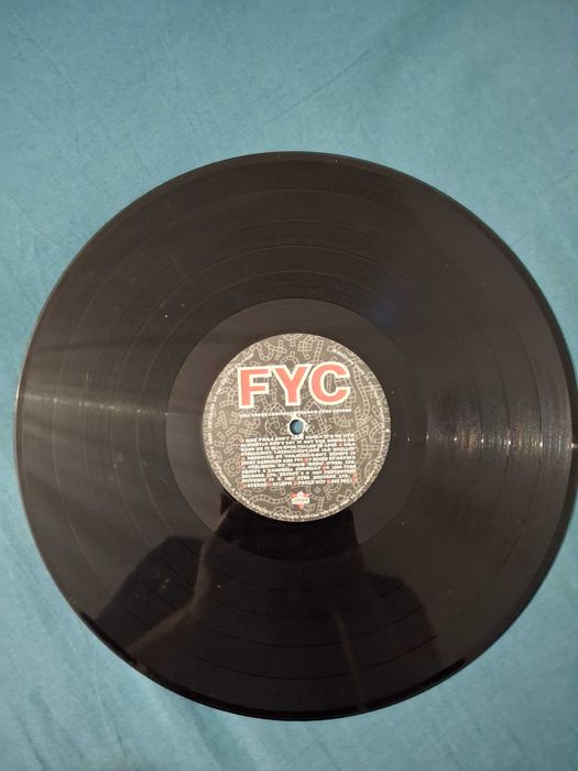 FINE YOUNG CANNIBAL - “The Raw & The Cooked