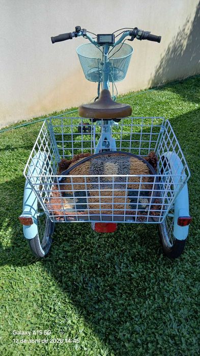 Bicicleta de 3 rodas elétrica/Triciclo elétrico
