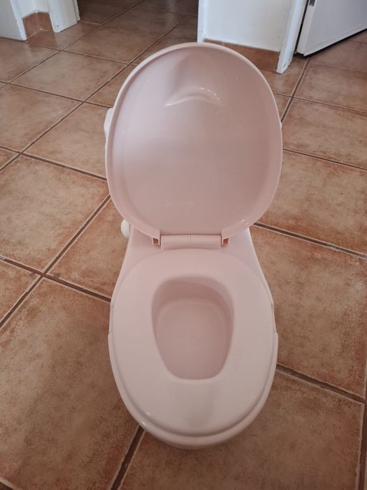 Sanita de aprendizagem