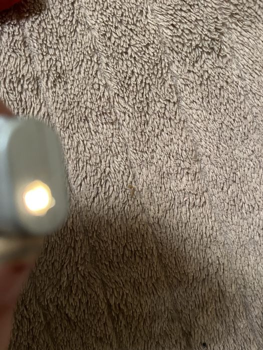 Міні  FM радіо зі світлом