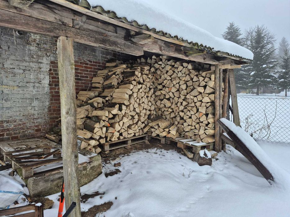 Drzewo opałowe, GRAB, KLON