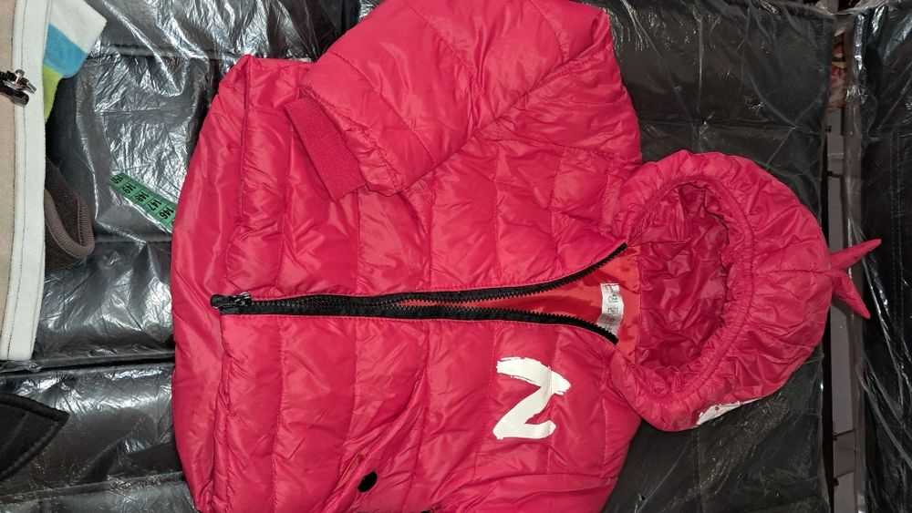 Пухова куртка Динозаврик