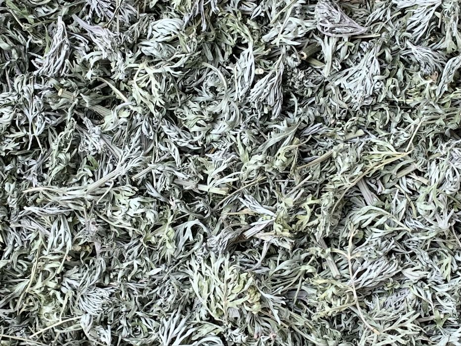 Полинь гірка та деревій сушений