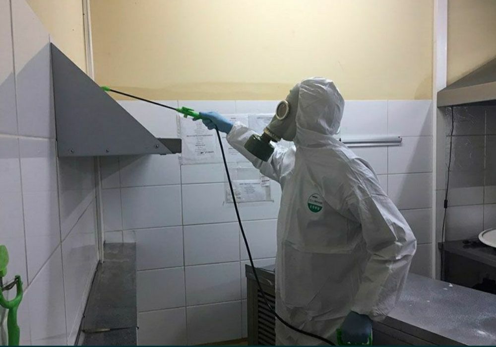 Потравим тараканов. Результат 100%. Знищення тарганів, Шкідників