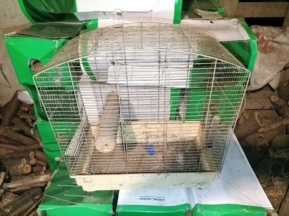 Klatka dla ptaków.