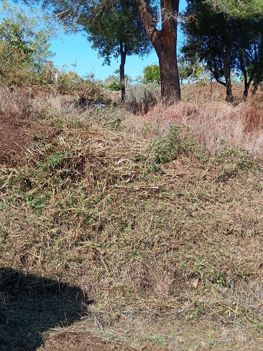 Serviços de mini -giratória e basculante
