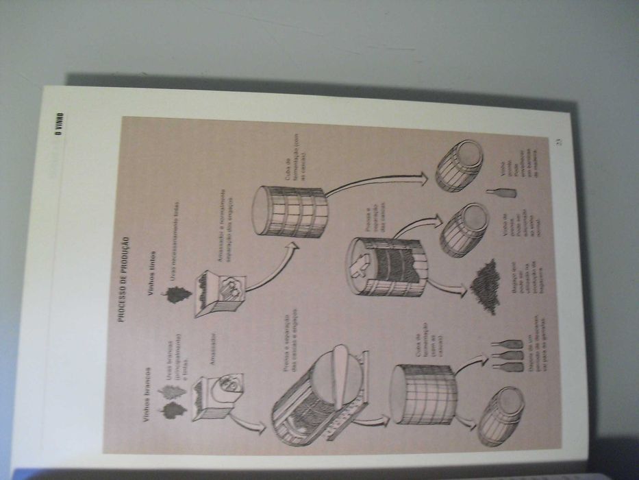 SAUL GALVÃO-TINTOS E BRANCOS