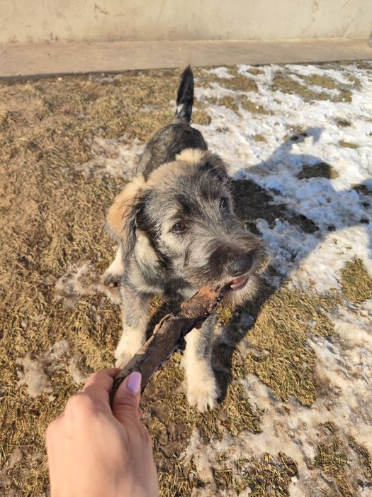 Szukamy najlepszego domu pod Słońcem