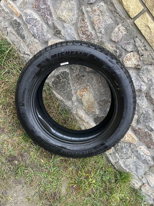 Шини Мішелін 205/55/17