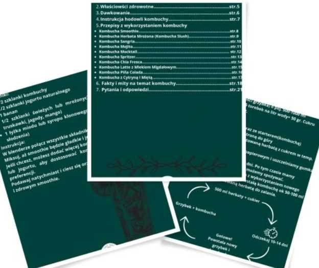 Kombucha 10 cm – grzybek SCOBY + płyn startowy + ściereczka + ulotka