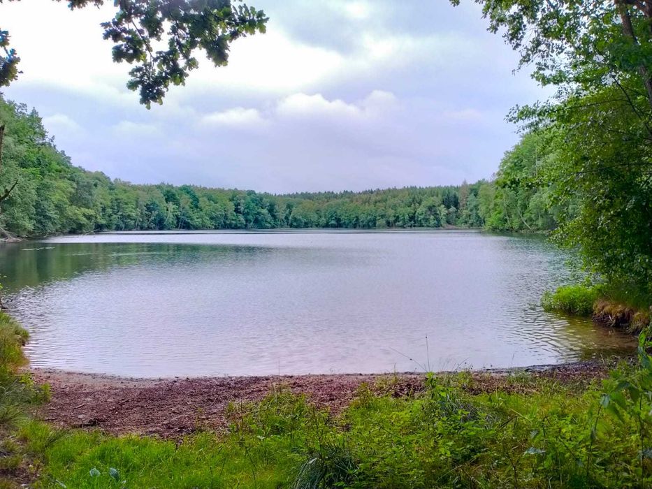 Domki letniskowe nad jeziorem w Poroście