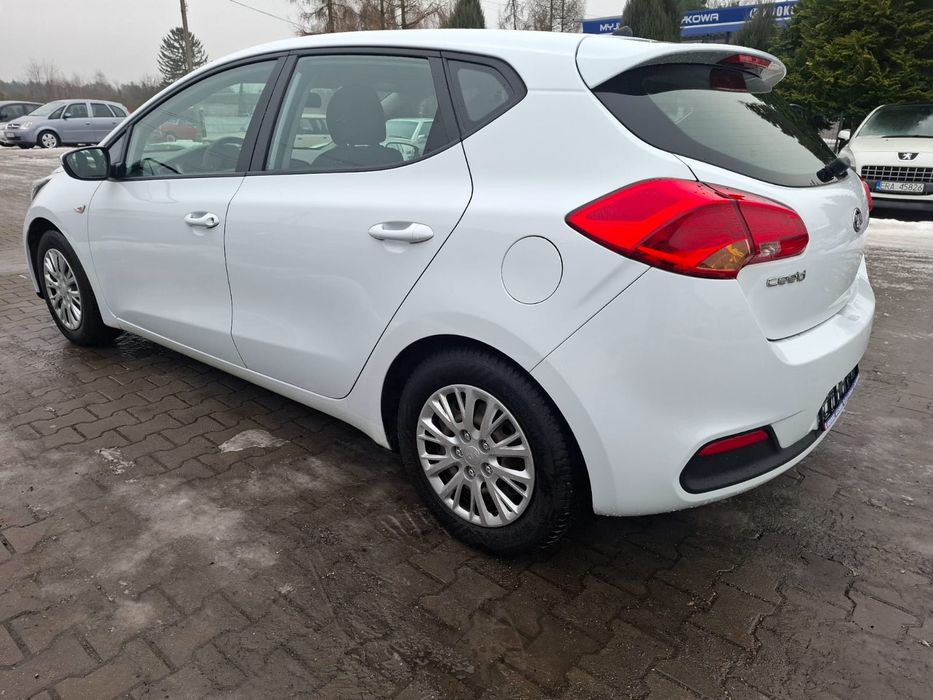 Kia Ceed 1.4B 1-właściciel!