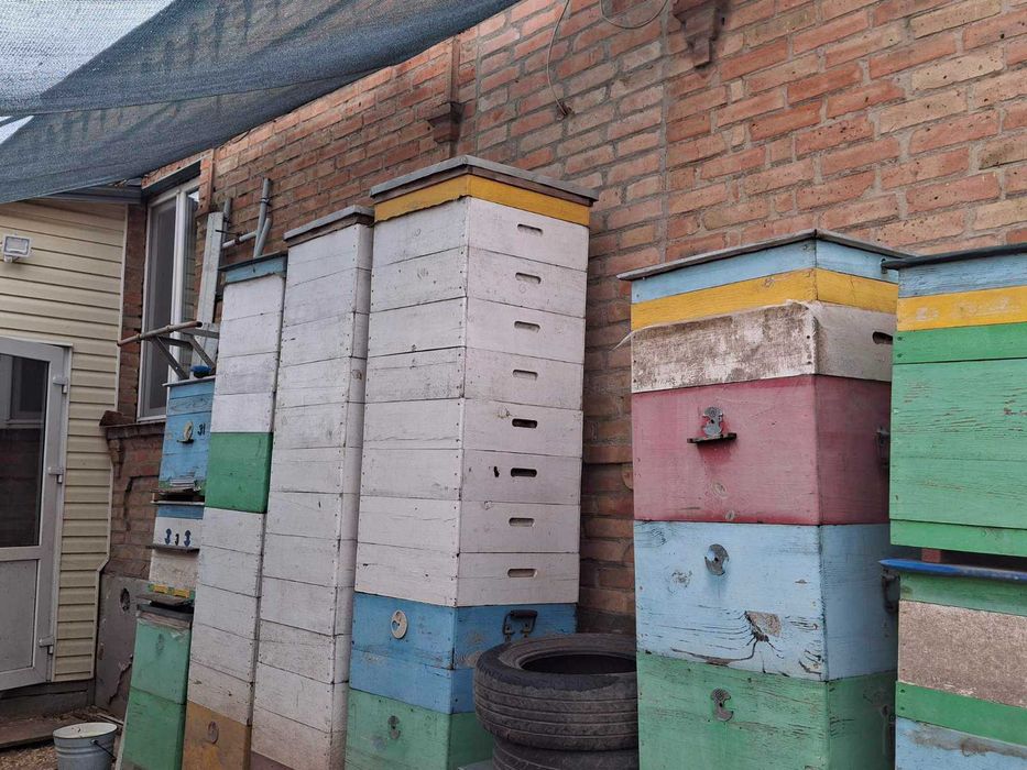 Продам вулики Дадан