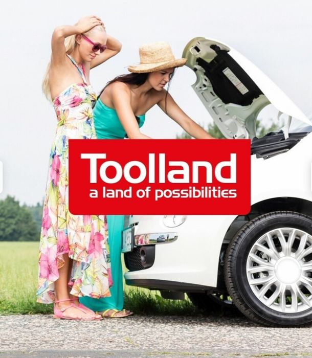 CHARGEUR POUR BATTERIE À ACIDE DE PLOMB - 12/24 V