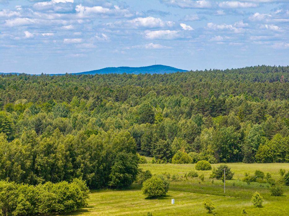 Działka BUDOWLANA o pow. 1251m2 okolice BORKOWA - 20 minut od KIELC