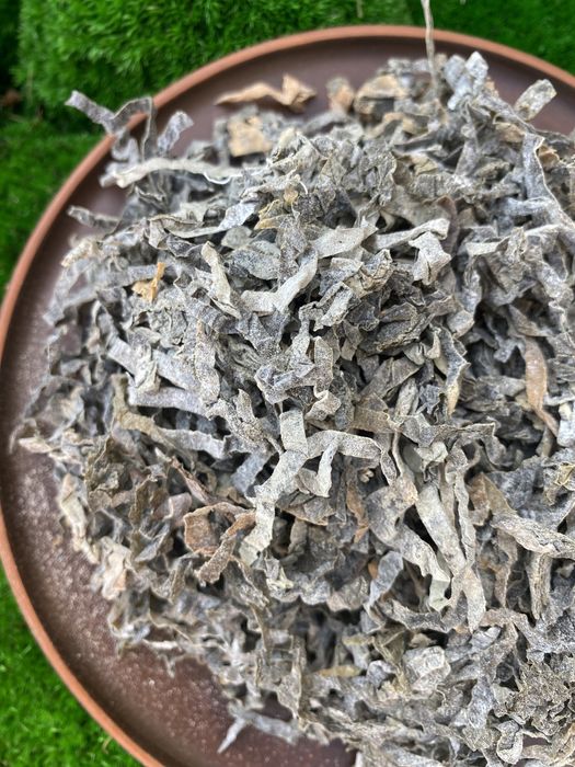 Сушена ламінарія , морська капуста , ламинария