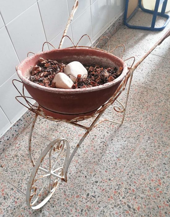 Carrinho de mão com vaso , decorativo