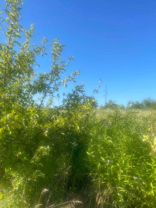 Продам земельну ділянку с.Порозове (0.15 га)