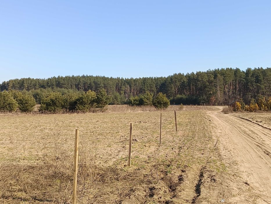 Приватизована земля 50 сот., ОСГ, с.Вороців